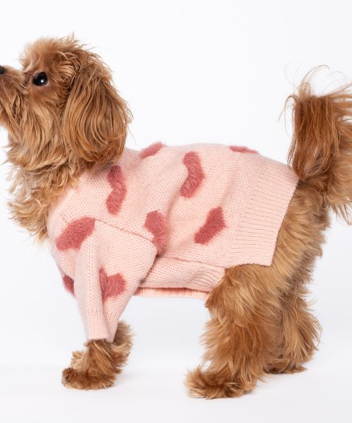 PinkSweater-WDogs-3