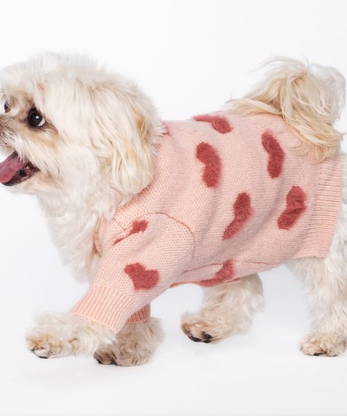 PinkSweater-WDogs-5